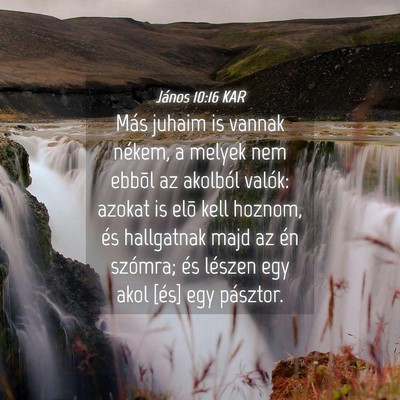 Picture 04 - János 10:16 KAR - Más juhaim is vannak nékem, a melyek nem ebbõl - Bible Verse Picture