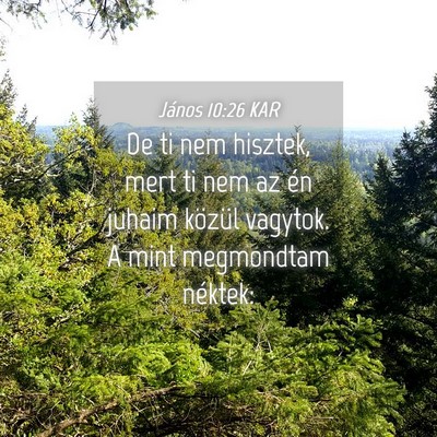 Picture 04 - János 10:26 KAR - De ti nem hisztek, mert ti nem az én juhaim - Bible Verse Picture