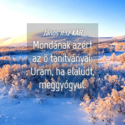 Picture 04 - János 11:12 KAR - Mondának azért az õ tanítványai: Uram, ha - Bible Verse Picture