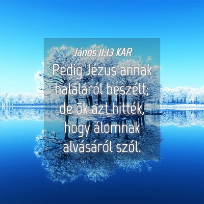 Picture 04 - János 11:13 KAR - Pedig Jézus annak haláláról beszélt; de õk - Bible Verse Picture