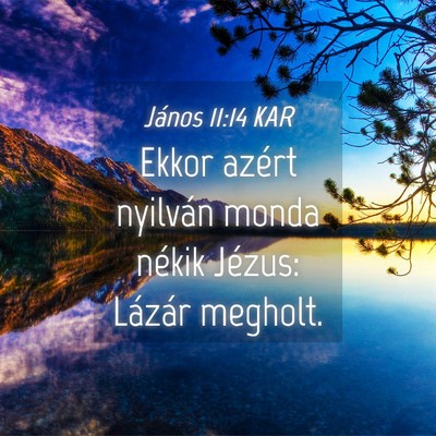 Picture 04 - János 11:14 KAR - Ekkor azért nyilván monda nékik Jézus: - Bible Verse Picture