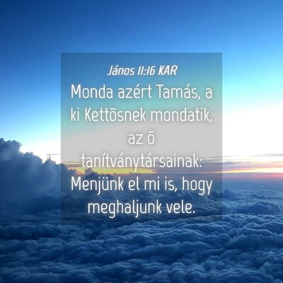 Picture 04 - János 11:16 KAR - Monda azért Tamás, a ki Kettõsnek mondatik, az - Bible Verse Picture
