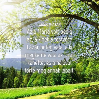 Picture 04 - János 11:2 KAR - Az a Mária volt pedig az, a kinek a testvére - Bible Verse Picture