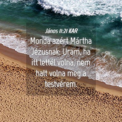 Picture 04 - János 11:21 KAR - Monda azért Mártha Jézusnak: Uram, ha itt - Bible Verse Picture