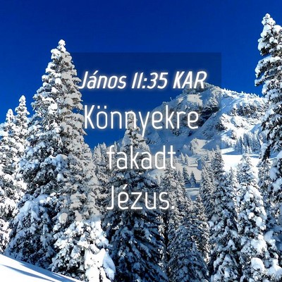 Picture 04 - János 11:35 KAR - Könnyekre fakadt - Bible Verse Picture