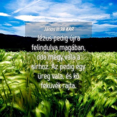 Picture 04 - János 11:38 KAR - Jézus pedig újra felindulva magában, oda megy - Bible Verse Picture