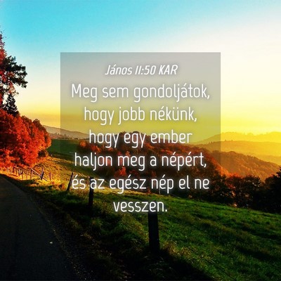 Picture 04 - János 11:50 KAR - Meg sem gondoljátok, hogy jobb nékünk, hogy - Bible Verse Picture