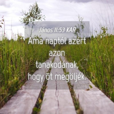 Picture 04 - János 11:53 KAR - Ama naptól azért azon tanakodának, hogy õt - Bible Verse Picture