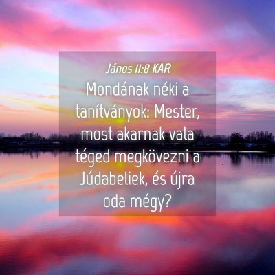Picture 04 - János 11:8 KAR - Mondának néki a tanítványok: Mester, most - Bible Verse Picture