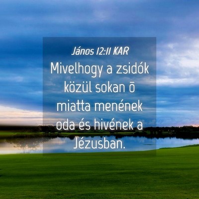 Picture 04 - János 12:11 KAR - Mivelhogy a zsidók közül sokan õ miatta - Bible Verse Picture