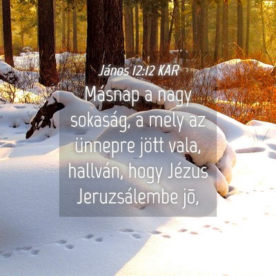 Picture 04 - János 12:12 KAR - Másnap a nagy sokaság, a mely az ünnepre jött - Bible Verse Picture