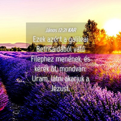 Picture 04 - János 12:21 KAR - Ezek azért a galileai Bethsaidából való - Bible Verse Picture