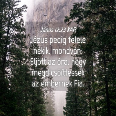Picture 04 - János 12:23 KAR - Jézus pedig felele nékik, mondván: Eljött az - Bible Verse Picture