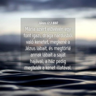 Picture 04 - János 12:3 KAR - Mária azért elõvévén egy font igazi, drága - Bible Verse Picture