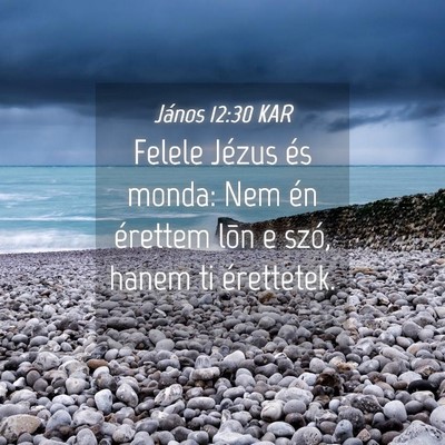 Picture 04 - János 12:30 KAR - Felele Jézus és monda: Nem én érettem lõn e - Bible Verse Picture
