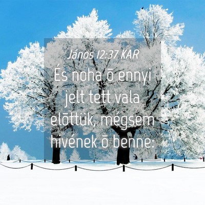 Picture 04 - János 12:37 KAR - És noha õ ennyi jelt tett vala elõttük, - Bible Verse Picture
