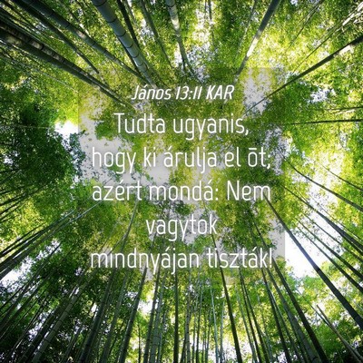 Picture 04 - János 13:11 KAR - Tudta ugyanis, hogy ki árulja el õt; azért - Bible Verse Picture