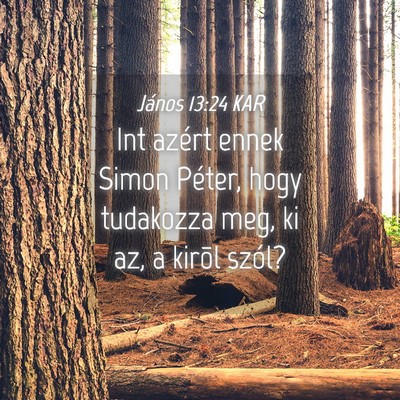 Picture 04 - János 13:24 KAR - Int azért ennek Simon Péter, hogy tudakozza - Bible Verse Picture