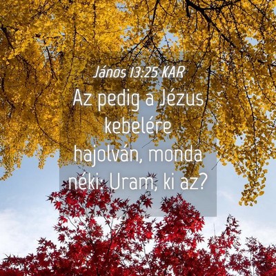 Picture 04 - János 13:25 KAR - Az pedig a Jézus kebelére hajolván, monda - Bible Verse Picture