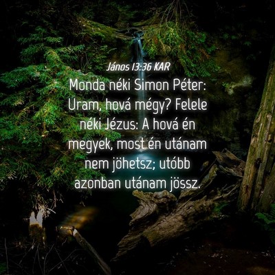 Picture 04 - János 13:36 KAR - Monda néki Simon Péter: Uram, hová mégy? - Bible Verse Picture