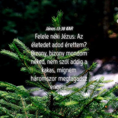 Picture 04 - János 13:38 KAR - Felele néki Jézus: Az életedet adod érettem? - Bible Verse Picture