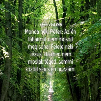 Picture 04 - János 13:8 KAR - Monda néki Péter: Az én lábaimat nem mosod - Bible Verse Picture