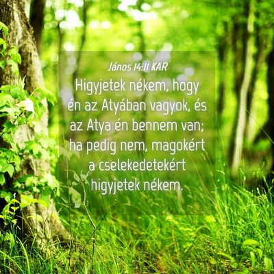 Picture 04 - János 14:11 KAR - Higyjetek nékem, hogy én az Atyában vagyok, - Bible Verse Picture