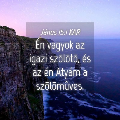Picture 04 - János 15:1 KAR - Én vagyok az igazi szõlõtõ, és az én Atyám - Bible Verse Picture