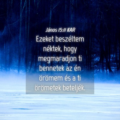 Picture 04 - János 15:11 KAR - Ezeket beszéltem néktek, hogy megmaradjon ti - Bible Verse Picture