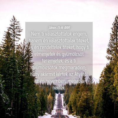 Picture 04 - János 15:16 KAR - Nem ti választottatok engem, hanem én - Bible Verse Picture