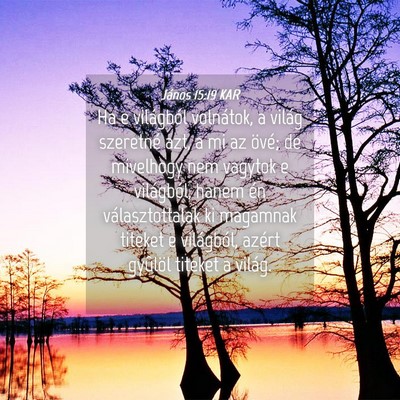 Picture 04 - János 15:19 KAR - Ha e világból volnátok, a világ szeretné - Bible Verse Picture