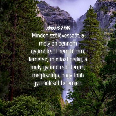 Picture 04 - János 15:2 KAR - Minden szõlõvesszõt, a mely én bennem - Bible Verse Picture