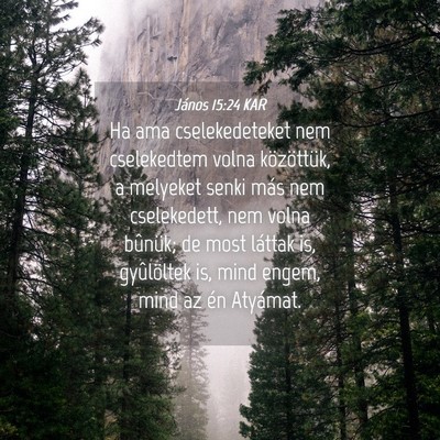 Picture 04 - János 15:24 KAR - Ha ama cselekedeteket nem cselekedtem volna - Bible Verse Picture
