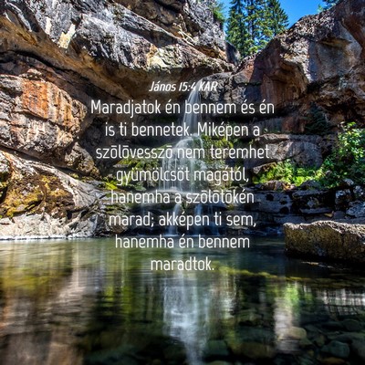 Picture 04 - János 15:4 KAR - Maradjatok én bennem és én is ti bennetek. - Bible Verse Picture