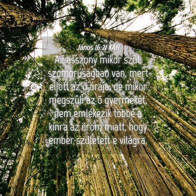 Picture 04 - János 16:21 KAR - Az asszony mikor szûl, szomorúságban van, mert - Bible Verse Picture
