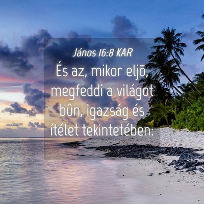 Picture 04 - János 16:8 KAR - És az, mikor eljõ, megfeddi a világot bûn, - Bible Verse Picture