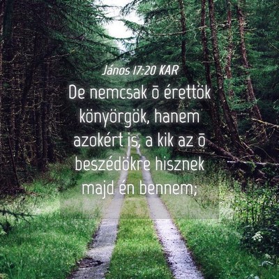 Picture 04 - János 17:20 KAR - De nemcsak õ érettök könyörgök, hanem - Bible Verse Picture