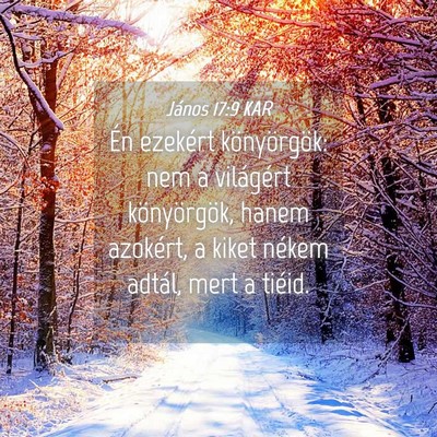 Picture 04 - János 17:9 KAR - Én ezekért könyörgök: nem a világért - Bible Verse Picture