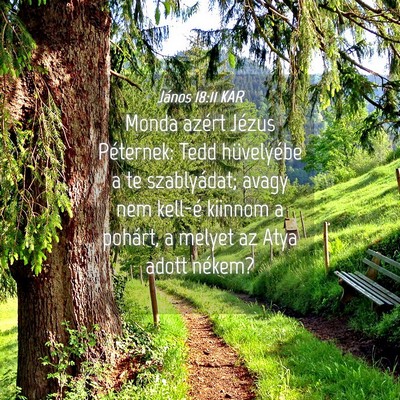 Picture 04 - János 18:11 KAR - Monda azért Jézus Péternek: Tedd hüvelyébe a - Bible Verse Picture