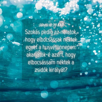 Picture 04 - János 18:39 KAR - Szokás pedig az nálatok, hogy elbocsássak - Bible Verse Picture