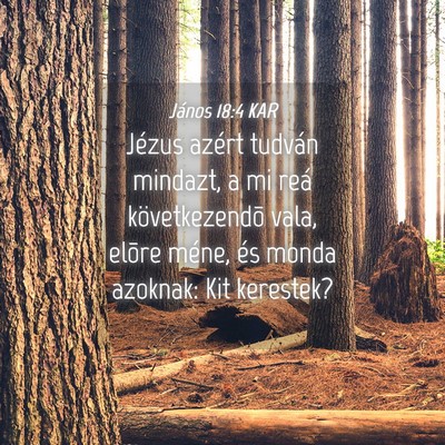 Picture 04 - János 18:4 KAR - Jézus azért tudván mindazt, a mi reá - Bible Verse Picture