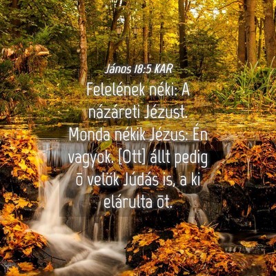 Picture 04 - János 18:5 KAR - Felelének néki: A názáreti Jézust. Monda - Bible Verse Picture