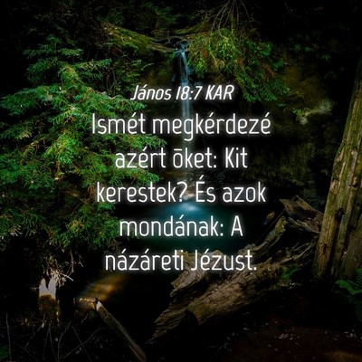 Picture 04 - János 18:7 KAR - Ismét megkérdezé azért õket: Kit kerestek? - Bible Verse Picture
