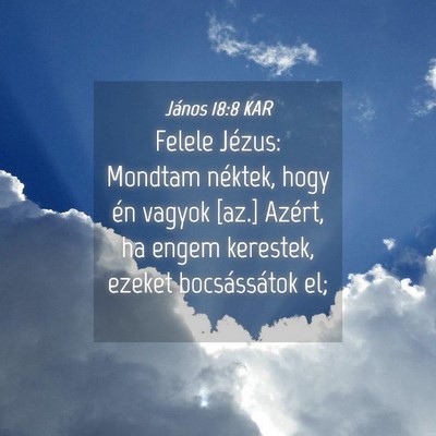 Picture 04 - János 18:8 KAR - Felele Jézus: Mondtam néktek, hogy én vagyok - Bible Verse Picture