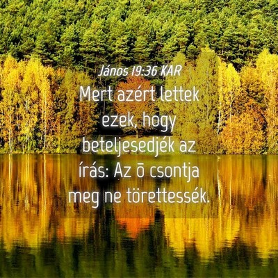 Picture 04 - János 19:36 KAR - Mert azért lettek ezek, hogy beteljesedjék az - Bible Verse Picture