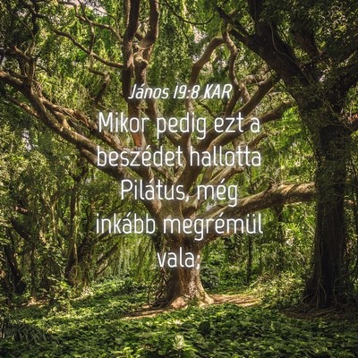 Picture 04 - János 19:8 KAR - Mikor pedig ezt a beszédet hallotta Pilátus, - Bible Verse Picture