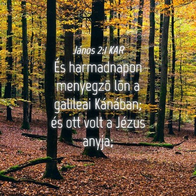 Picture 04 - János 2:1 KAR - És harmadnapon menyegzõ lõn a galileai - Bible Verse Picture