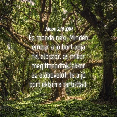 Picture 04 - János 2:10 KAR - És monda néki: Minden ember a jó bort adja fel - Bible Verse Picture