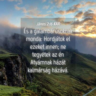Picture 04 - János 2:16 KAR - És a galambárúsoknak monda: Hordjátok el - Bible Verse Picture