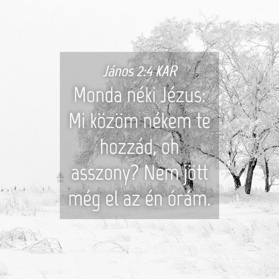 Picture 04 - János 2:4 KAR - Monda néki Jézus: Mi közöm nékem te hozzád, - Bible Verse Picture